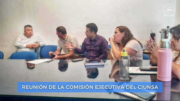 Reunión de la Comisión Ejecutiva del CIUNSA